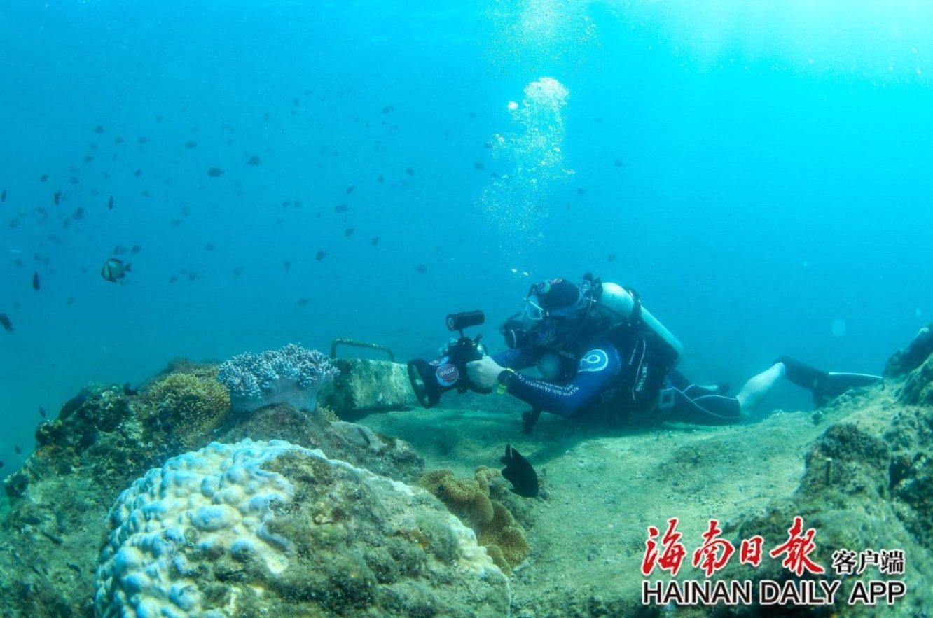 救援甜蜜熊